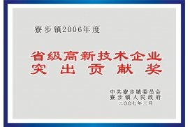 突出贡献-证书
